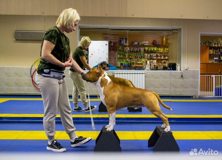 Услуги хендлера