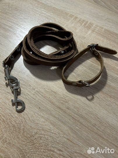 Ошейник и поводок для щенка