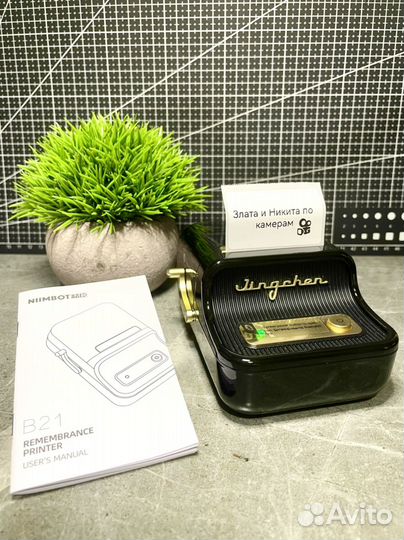 Принтер для печати этикеток Niimbot B21