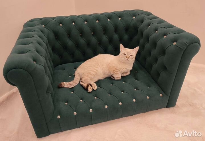 Диван/лежанка Честер изумрудный для животных