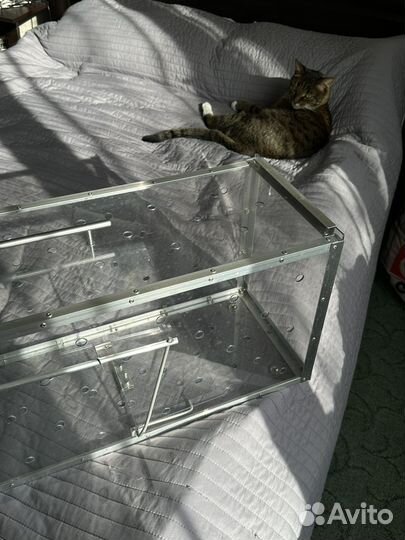 Котоловка аренда