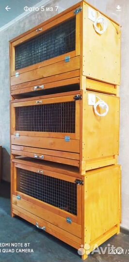 Брудер для цыплят