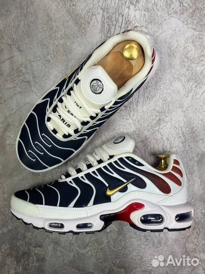 Кеды nike AIR MAX TN