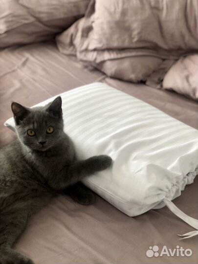 Комплект постельного белья евро