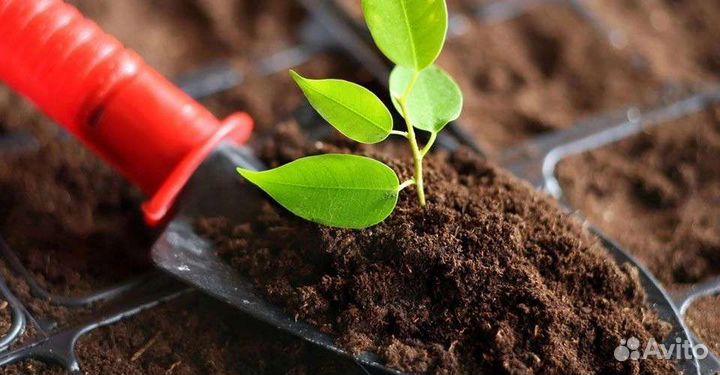 Плодородный грунт