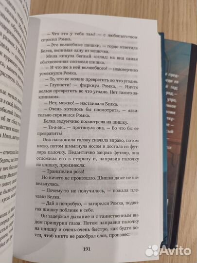 Набор книг: Мила Рудик (#1)