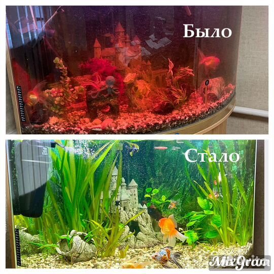 Чистка аквариума (уход и обслуживание)