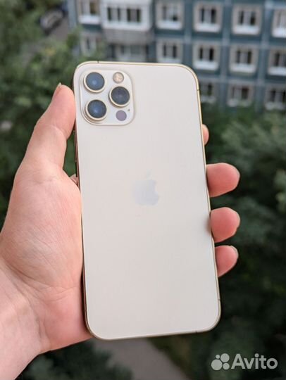 iPhone 12 Pro, 256 ГБ