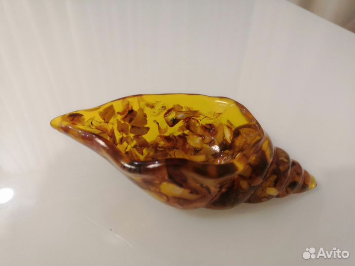 Ракушка из янтаря 130*60 мм