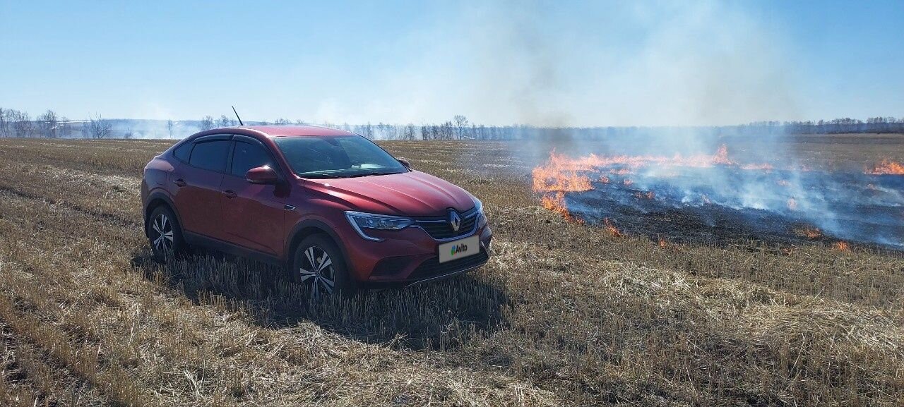 Renault Arkana: фото владельца