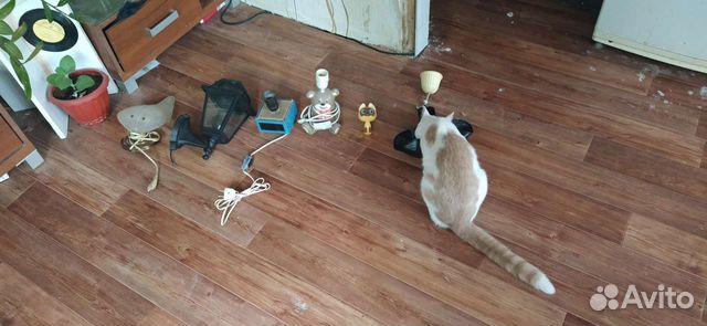 Светильники ночники бра