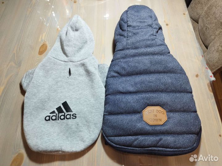 Толстовка и жилетка для собак