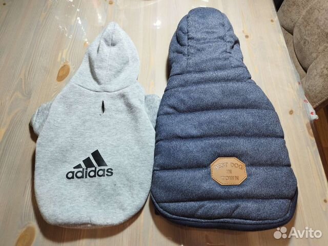 Толстовка и жилетка для собак