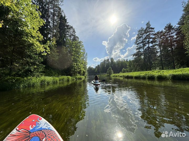 Прокат аренда supboard в Сиверский по оредеж