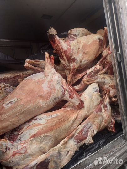 Мясо баранина тушка
