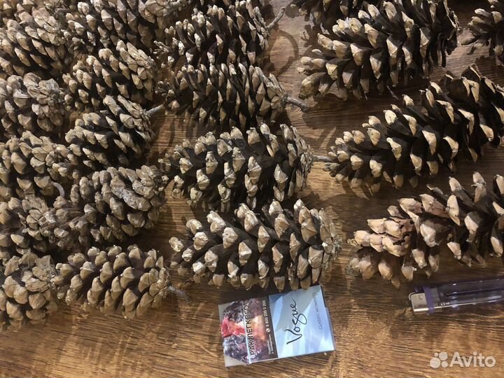 Шишки огромные