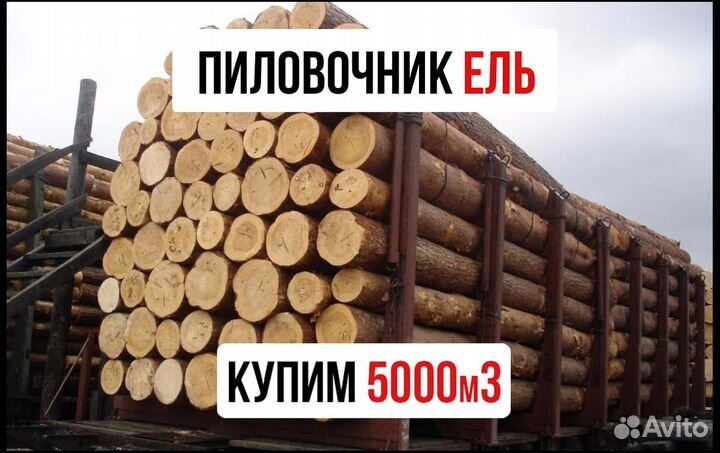 Пиловочник покупаем, хвоя, Диам. от 20 1500м3/мес