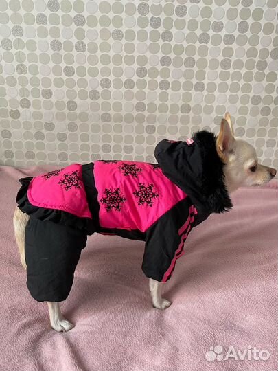 Зимний костюм для собак
