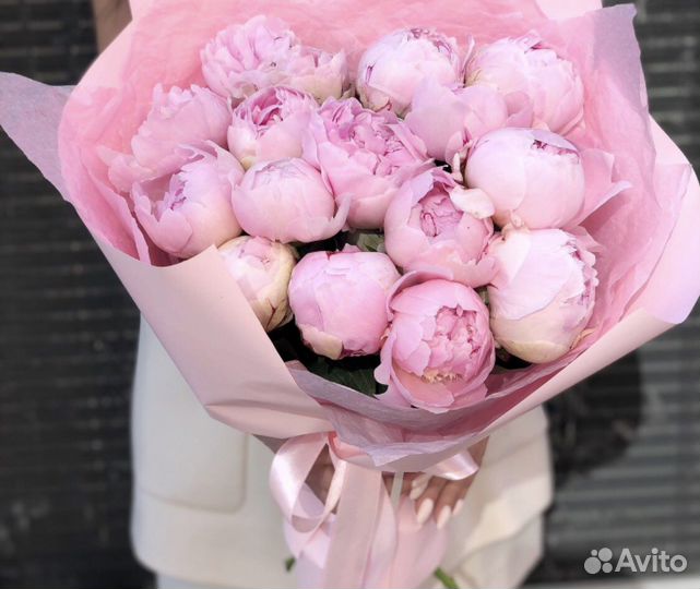 Букет пионов 5 9 11 13 15 с доставкой