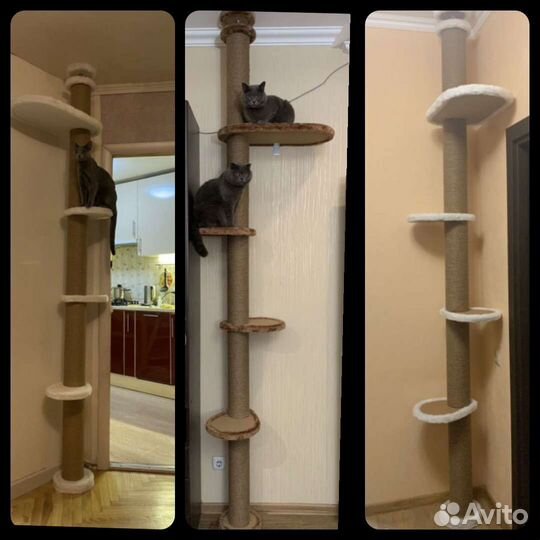 Когтеточка пол-потолок