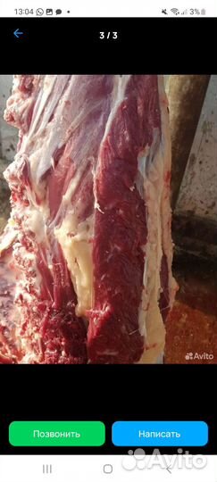 Продаю теленка
