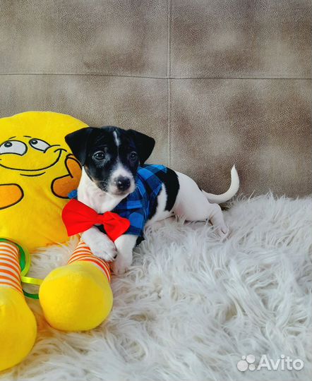 Мальчик красавчик