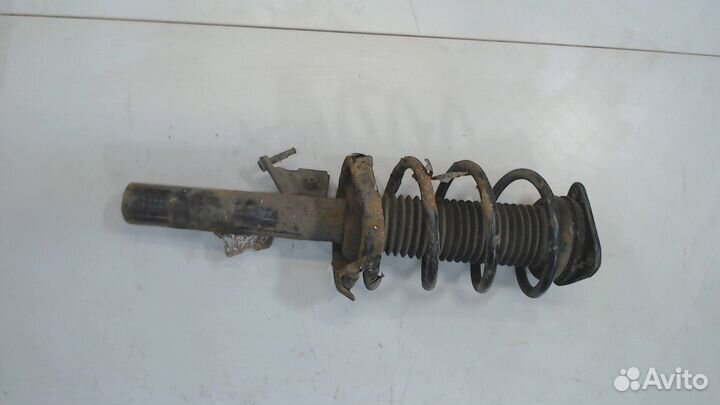 Амортизатор подвески Ford Focus 2, 2009