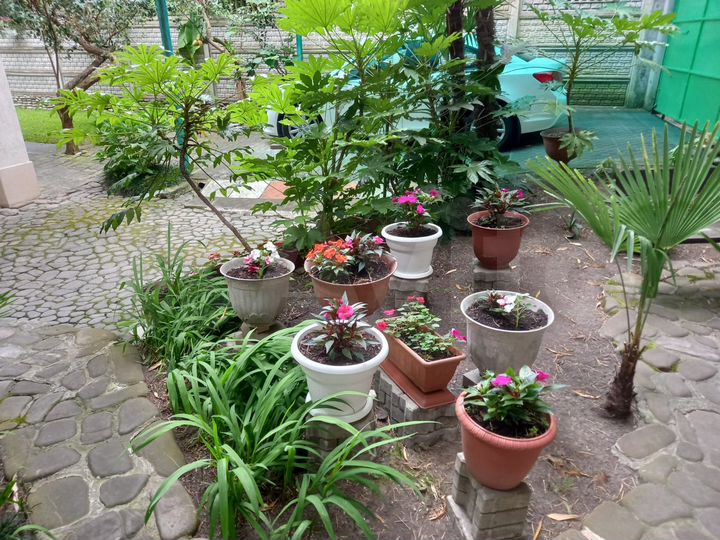 Комната 20 м², 1/3 эт.