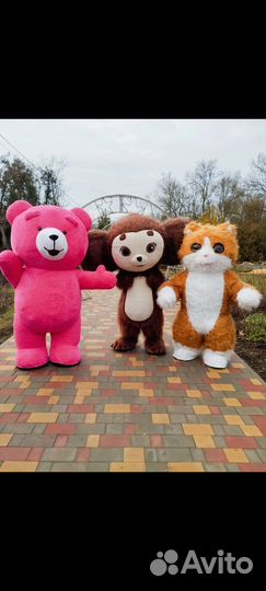 Экспресс поздравление