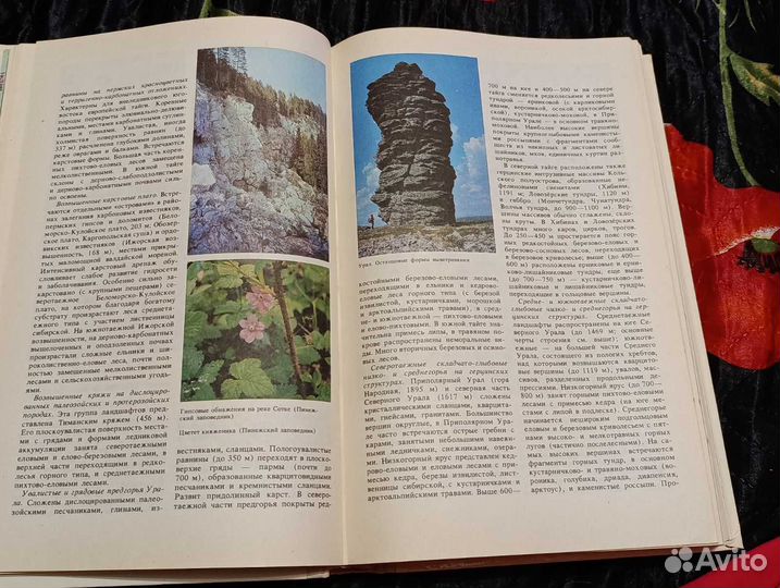 А.Г.Исаченко 