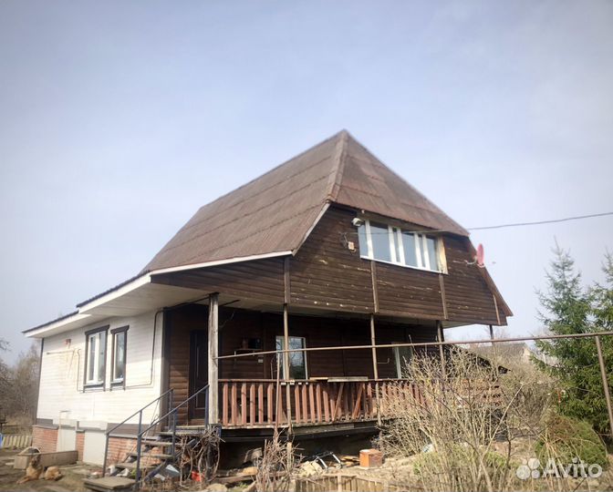 Зоогостиница. Догситтер. Няня кошки