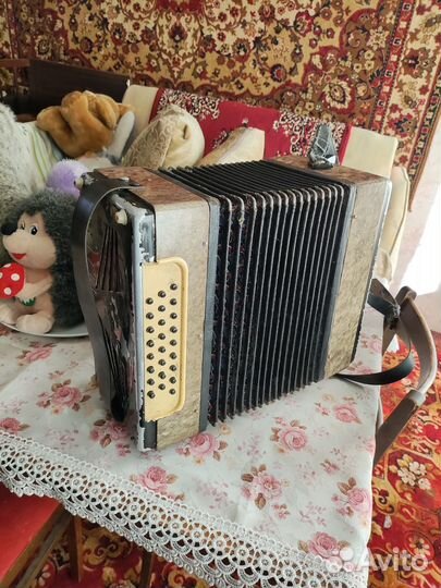 Гармонь любительская