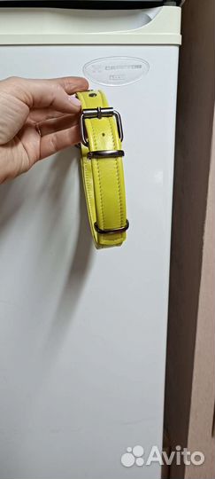 Ошейник для собаки средней породы