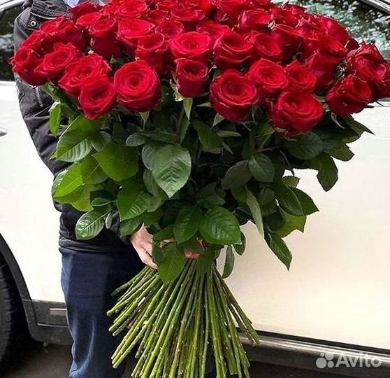 Высокие розы Гигантские розы Доставка цветов