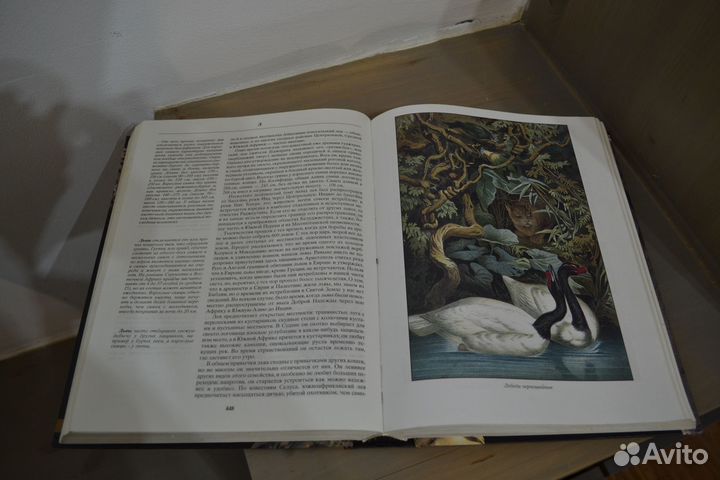 Книги, Энциклопедии