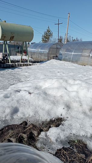 Дом 35 м² на участке 7 сот.