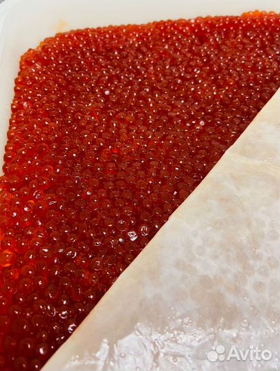 Красная икра оптом