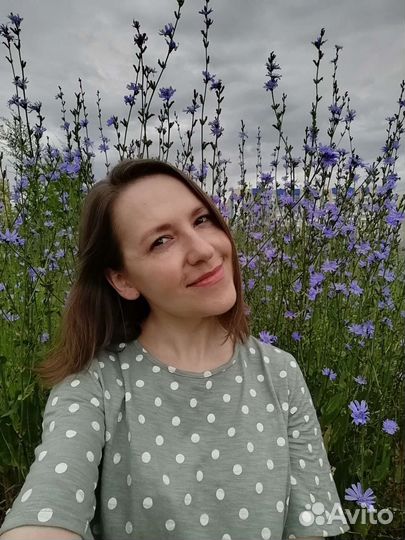 Домработница приходящая