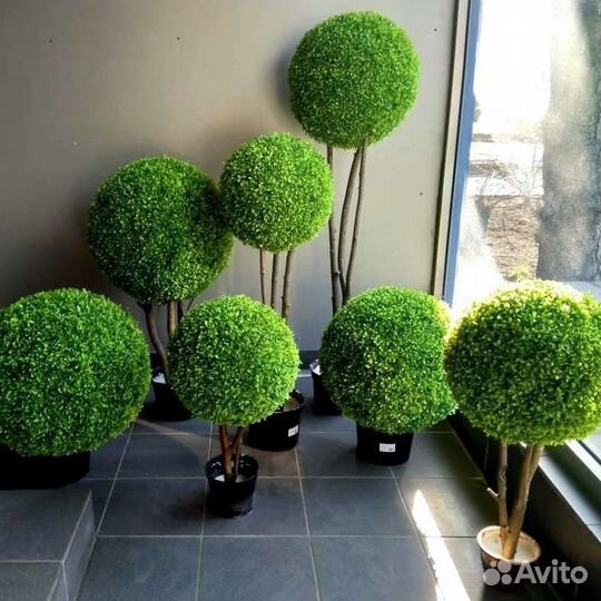 Искусственный самшит. Искусственное дерево