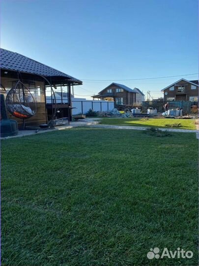 Газон в рулонах, элитные сорта