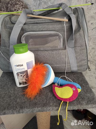 Когтеточка