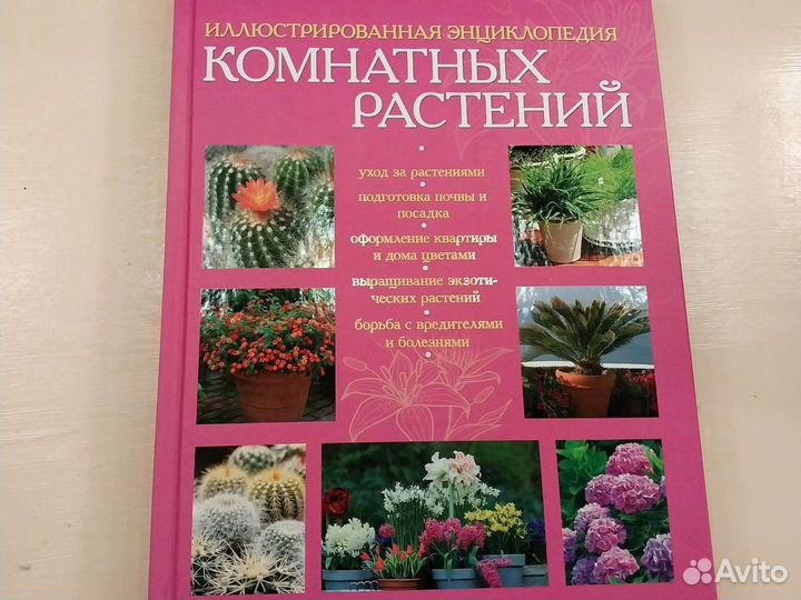 Энциклопедия комнатных растений