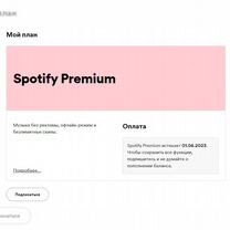 Spotify Premium 1 год