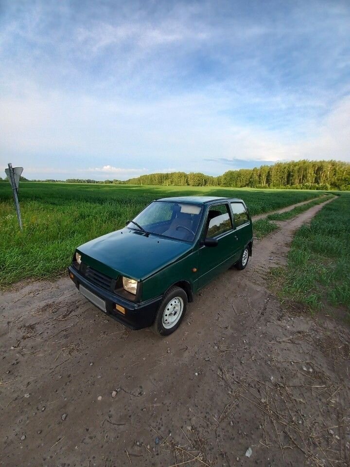 ВАЗ (LADA) 1111 Ока: фото владельца