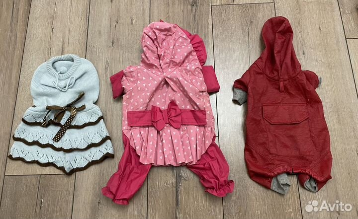 Одежда для собак мелких пород