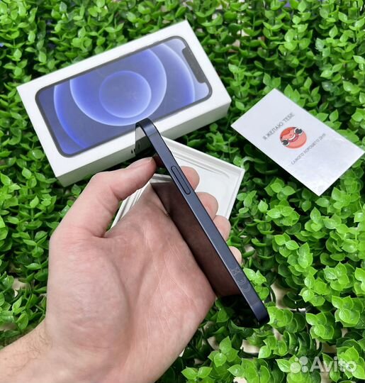 iPhone 12 mini, 256 ГБ