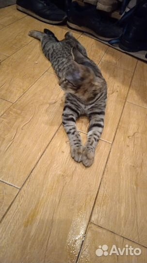 Фенечка в добрые руки