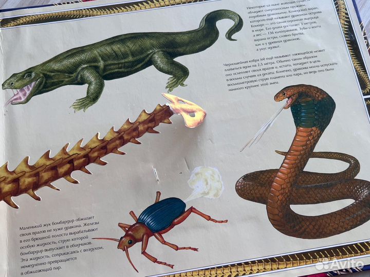 Книга раскладушка детская Мир драконов