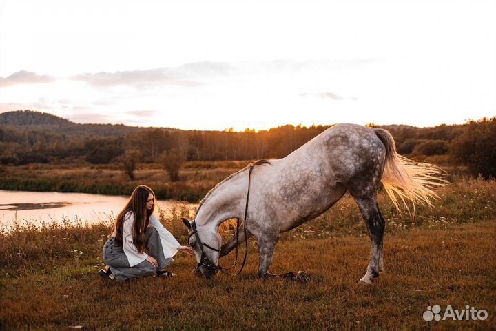 Конные прогулки и фотосессии