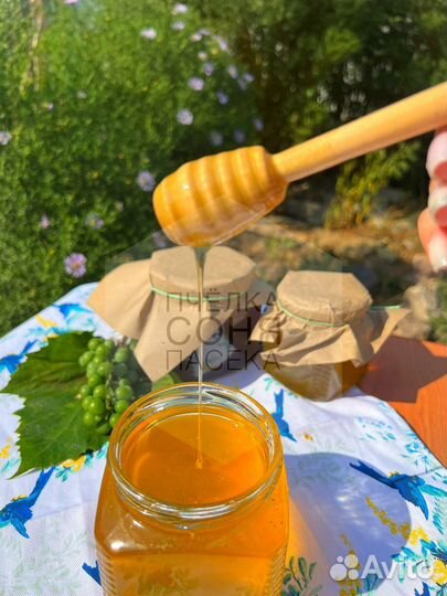 Мёд гречишный, полевой, разнотравье